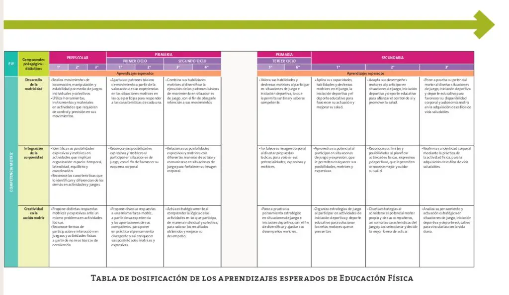 ORGANIZACIÓN Y ESTRUCTURA DE LOS PROGRAMAS DE ESTUDIO - Aprendizajes Clave